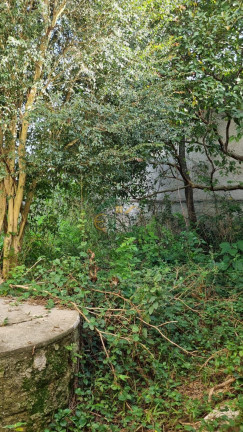 Imagem Terreno à Venda, 378 m² em Iguaçu - Fazenda Rio Grande