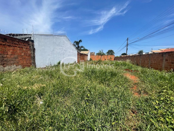 Imagem Terreno à Venda, 432 m² em Vila Marli - Campo Grande Imagem Terreno à Venda, 432 m² em Vila Marli - Campo Grande