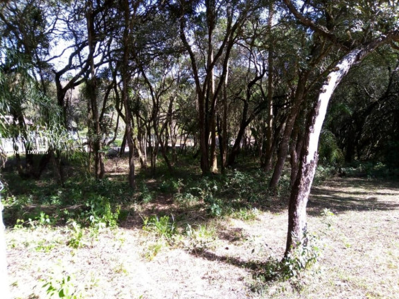 Imagem Terreno à Venda, em Depois Do Centro - Ibiúna Imagem Terreno à Venda, em Depois Do Centro - Ibiúna