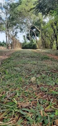 Imagem Chácara com 3 Quartos à Venda, 31.000 m² em Centro - Tamarana