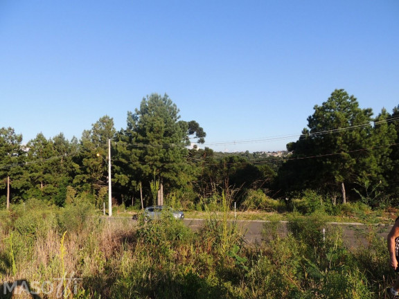 Imagem Terreno à Venda, 450 m² em Dutra - Gramado Imagem Terreno à Venda, 450 m² em Dutra - Gramado