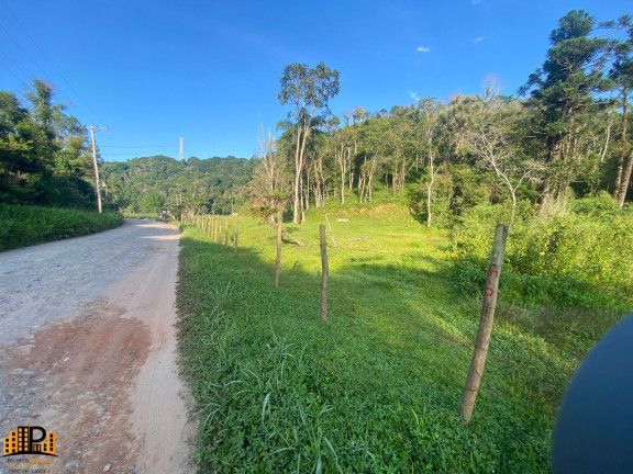 Imagem Terreno à Venda, 3.000 m² em Barrinha - São Lourenço Da Serra