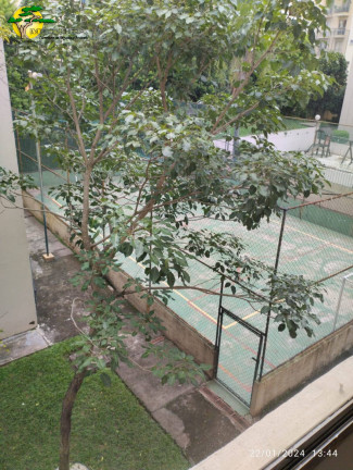 Imagem Apartamento com 1 Quarto para Alugar, 50 m² em Lauzane Paulista - São Paulo