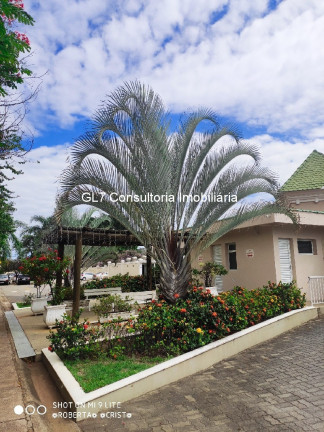 Imagem Imóvel com 3 Quartos à Venda, 64 m² em Jardim Nova Indaiá - Indaiatuba
