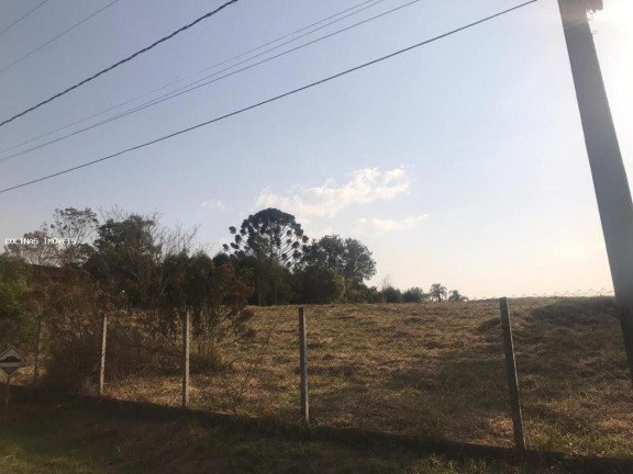 Imagem Terreno à Venda,  em Antes Do Centro - Ibiúna