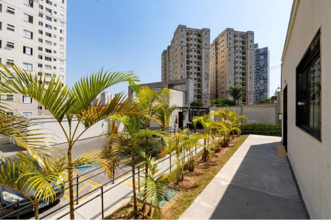 Imagem Apartamento com 2 Quartos à Venda, 43 m² em Parque Reboucas - São Paulo