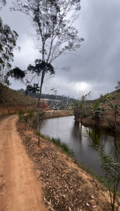 Imagem Fazenda à Venda, 10.000 m² em Santa Teresa - Santa Teresa