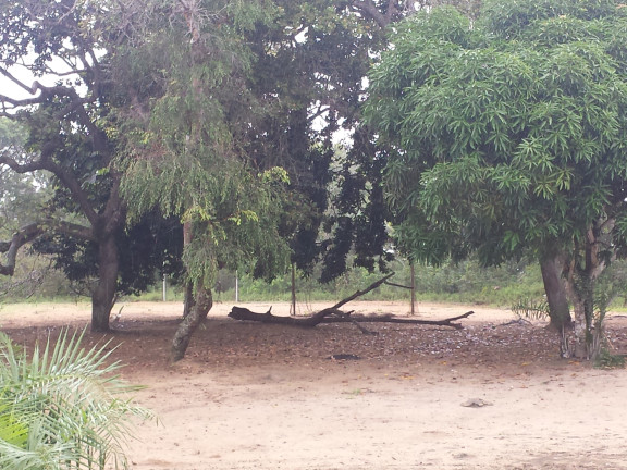 Imagem Terreno à Venda, 100.000 m² em Areia Branca - Lauro De Freitas Imagem Terreno à Venda, 100.000 m² em Areia Branca - Lauro De Freitas