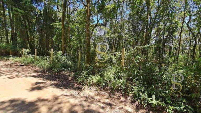 Imagem Terreno à Venda, 1.000 m² em Mato Dentro - Mairiporã Imagem Terreno à Venda, 1.000 m² em Mato Dentro - Mairiporã