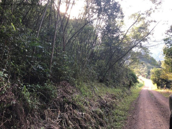 Imagem Terreno à Venda, 3 m² em Rua São José Do Cai - Nova Petrópolis Imagem Terreno à Venda, 3 m² em Rua São José Do Cai - Nova Petrópolis