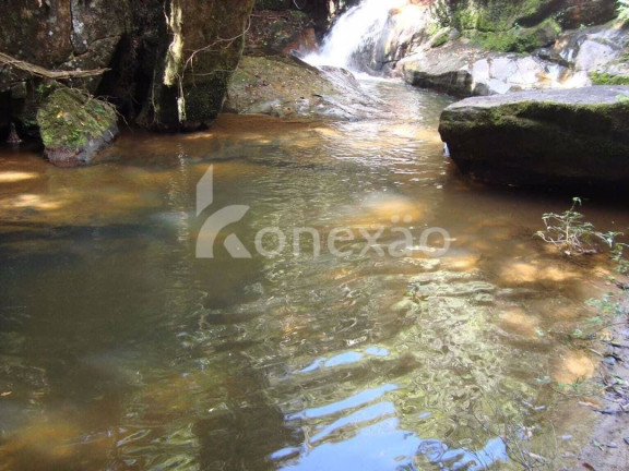 Imagem Fazenda à Venda, 600 m² em Cedro - Paraibuna Imagem Fazenda à Venda, 600 m² em Cedro - Paraibuna