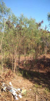 Imagem Terreno à Venda, 5.909 m² em Campo Grande - Rio De Janeiro Imagem Terreno à Venda, 5.909 m² em Campo Grande - Rio De Janeiro