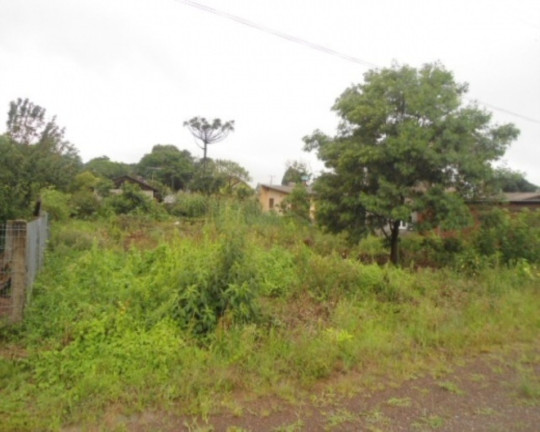 Terreno à Venda, 600 m² em Vale Verde - Nova Petrópolis