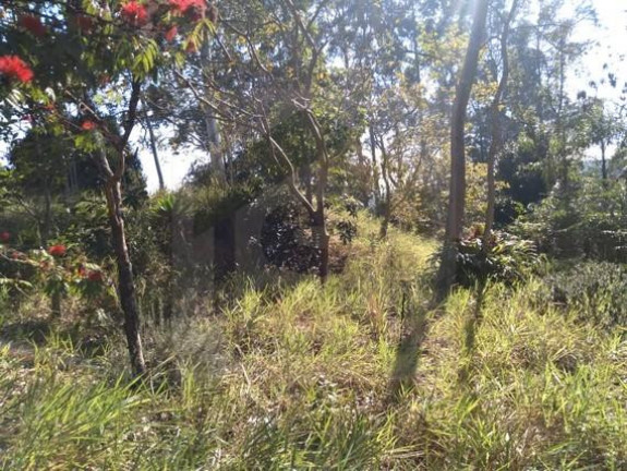 Imagem Chácara com 3 Quartos à Venda, 20.000 m² em São Roque Novo - Bofete Imagem Chácara com 3 Quartos à Venda, 20.000 m² em São Roque Novo - Bofete