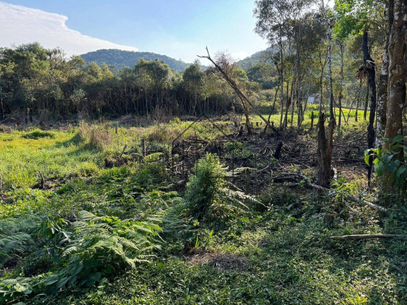 Imagem Terreno à Venda, 1.000 m² em Verava - Ibiúna