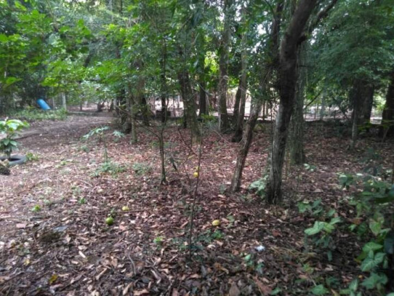 Imagem Chácara com 3 Quartos à Venda, 70 m² em Cidade Jardim - Taubaté Imagem Chácara com 3 Quartos à Venda, 70 m² em Cidade Jardim - Taubaté