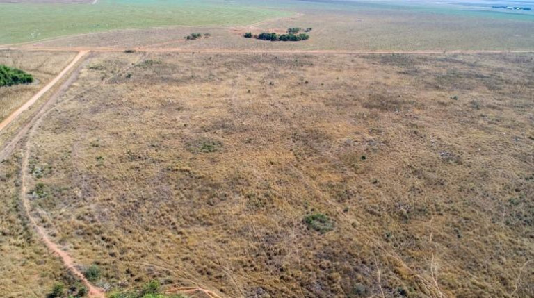Imagem Fazenda à Venda, 3.000 m² em Zona Rural - Nova Maringá Imagem Fazenda à Venda, 3.000 m² em Zona Rural - Nova Maringá