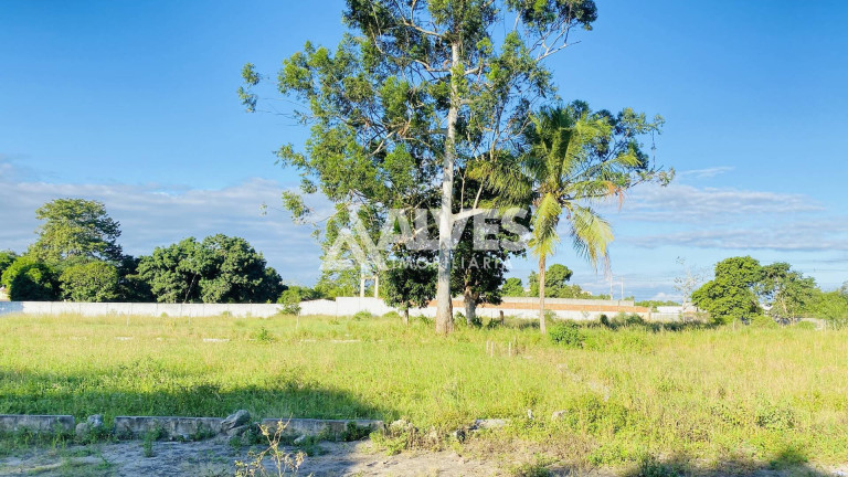 Imagem Terreno à Venda, 6.300 m² em Asa Branca - Feira De Santana