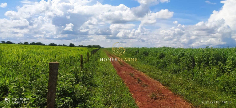 Imagem Imóvel com 3 Quartos à Venda, 423 m² em Zona Rural - Turvelândia Imagem Imóvel com 3 Quartos à Venda, 423 m² em Zona Rural - Turvelândia