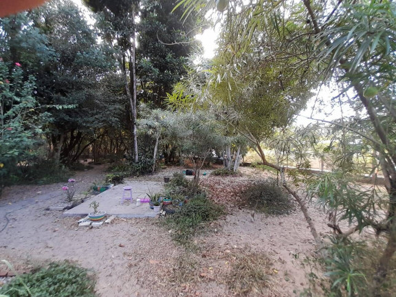 Imagem Terreno à Venda, 1.301 m² em Praia Da Pipa - Tibau Do Sul Imagem Terreno à Venda, 1.301 m² em Praia Da Pipa - Tibau Do Sul