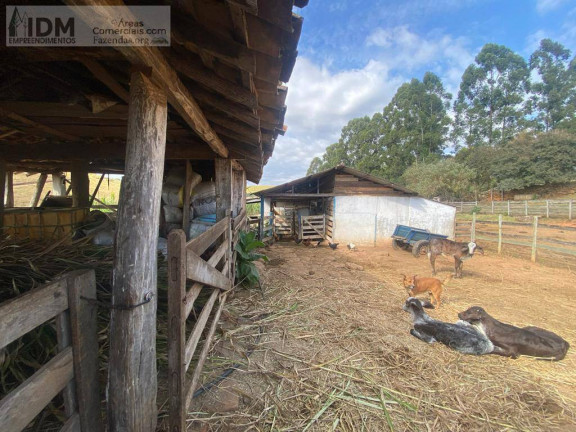 Imagem Chácara à Venda, 440.000 m² em Centro - Aiuruoca Imagem Chácara à Venda, 440.000 m² em Centro - Aiuruoca