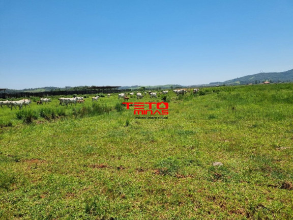 Imagem Imóvel à Venda, 175 m² em área Rural De Pouso Alegre - Pouso Alegre Imagem Imóvel à Venda, 175 m² em área Rural De Pouso Alegre - Pouso Alegre