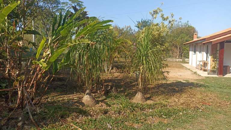 Imagem Chácara com 3 Quartos à Venda, 2 m² em Bairro Do Cercado - Araçoiaba Da Serra Imagem Chácara com 3 Quartos à Venda, 2 m² em Bairro Do Cercado - Araçoiaba Da Serra