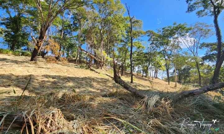 Imagem Terreno à Venda, 3.346 m² em Residencial Aldeia Do Vale - Goiânia Imagem Terreno à Venda, 3.346 m² em Residencial Aldeia Do Vale - Goiânia