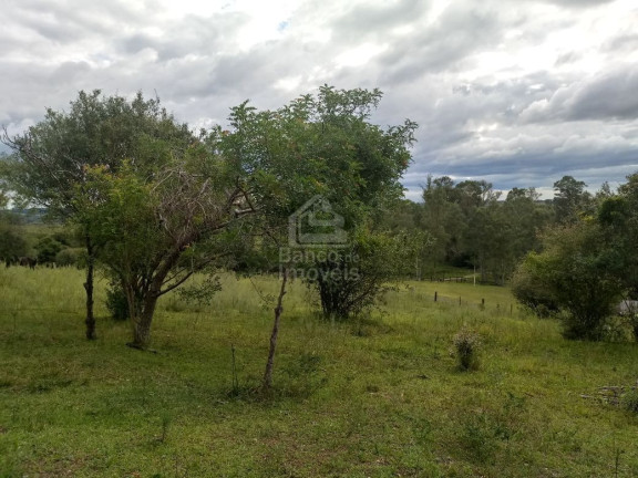 Imagem Terreno à Venda, 5.000 m² em Boi Morto - Santa Maria Imagem Terreno à Venda, 5.000 m² em Boi Morto - Santa Maria