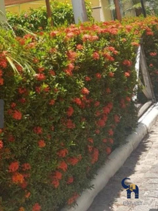 Imagem Casa com 3 Quartos à Venda, 205 m² em Buraquinho - Lauro De Freitas