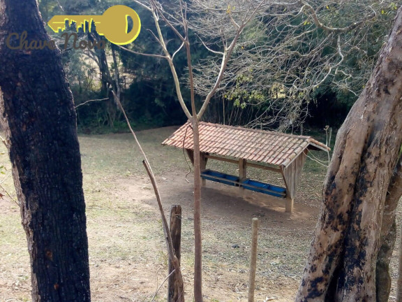 Imagem Chácara com 3 Quartos à Venda, 20 m² em Roseta - Cambuí