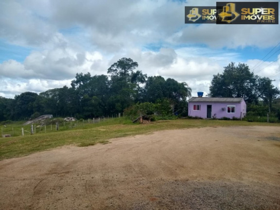 Imagem Imóvel com 8 Quartos à Venda, 60.000 m² em Centro - Canguçu