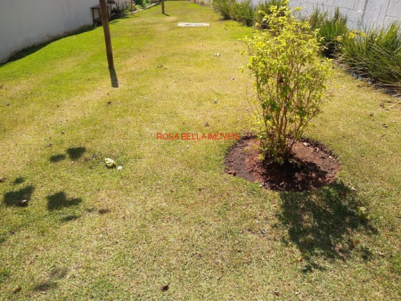 Imagem Apartamento com 3 Quartos à Venda, 79 m² em Parque União - Jundiaí