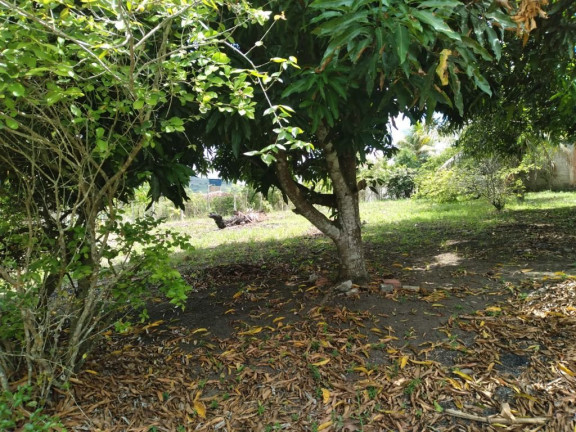 Imagem Terreno à Venda, 2.800 m² em Rural - Paudalho Imagem Terreno à Venda, 2.800 m² em Rural - Paudalho