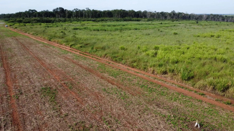 Imagem Fazenda à Venda, 13 m² em Residencial Maripá - Sinop Imagem Fazenda à Venda, 13 m² em Residencial Maripá - Sinop