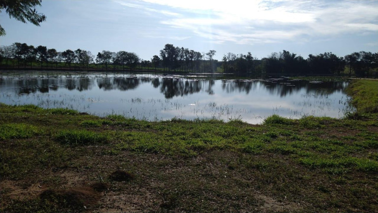 Imagem Fazenda à Venda, 54 m² em Itai - Itaí Imagem Fazenda à Venda, 54 m² em Itai - Itaí