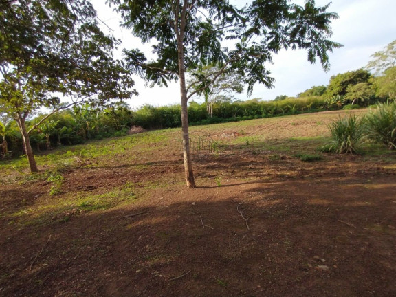 Imagem Fazenda à Venda, 40.000 m² em Ponte Alta Norte (gama) - Brasília Imagem Fazenda à Venda, 40.000 m² em Ponte Alta Norte (gama) - Brasília