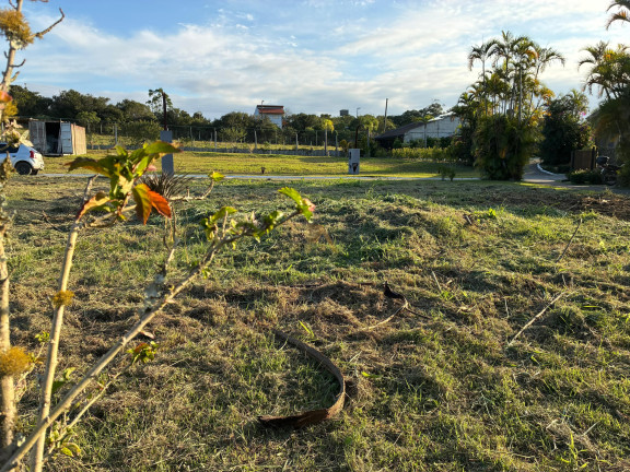 Imagem Terreno à Venda, em Praia Do Rosa - Imbituba Imagem Terreno à Venda, em Praia Do Rosa - Imbituba