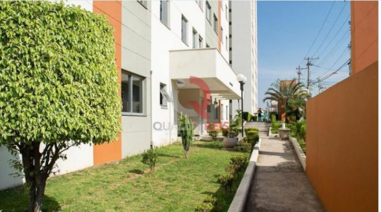 Imagem Apartamento com 2 Quartos à Venda, 52 m² em Vila Basileia - São Paulo Imagem Apartamento com 2 Quartos à Venda, 52 m² em Vila Basileia - São Paulo