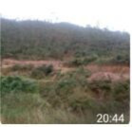 Imagem Terreno à Venda, 136.000 m² em Centro - Itapecerica Da Serra Imagem Terreno à Venda, 136.000 m² em Centro - Itapecerica Da Serra