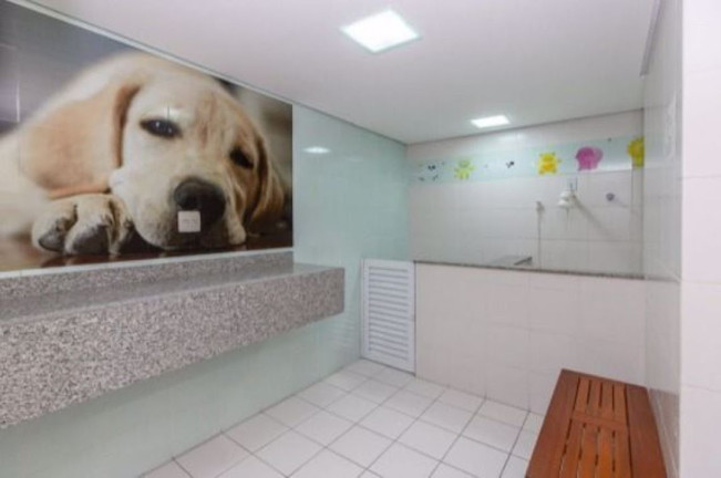 Imagem Apartamento com 3 Quartos à Venda, 126 m² em Vila Suzana - São Paulo Imagem Apartamento com 3 Quartos à Venda, 126 m² em Vila Suzana - São Paulo