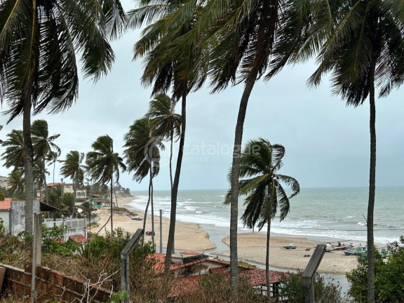 Imagem Terreno à Venda, 3.550 m² em Praia De Caraúbas - Maxaranguape Imagem Terreno à Venda, 3.550 m² em Praia De Caraúbas - Maxaranguape