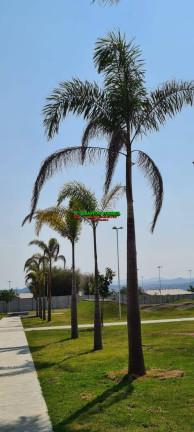 Imagem Terreno em Condomínio à Venda, 250 m² em Eugênio De Mello - São José Dos Campos Imagem Terreno em Condomínio à Venda, 250 m² em Eugênio De Mello - São José Dos Campos