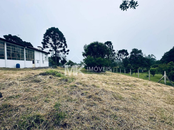 Imagem Chácara com 3 Quartos à Venda, 407 m² em Borda Do Campo (quatro Barras) Imagem Chácara com 3 Quartos à Venda, 407 m² em Borda Do Campo (quatro Barras)