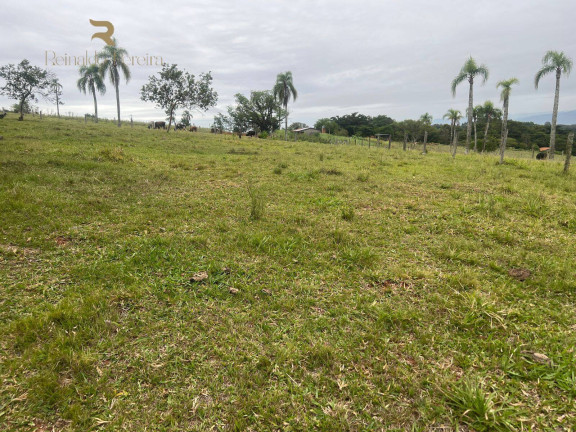 Imagem Chácara com 2 Quartos à Venda, 32.000 m² em Fazenda Fialho - Taquara