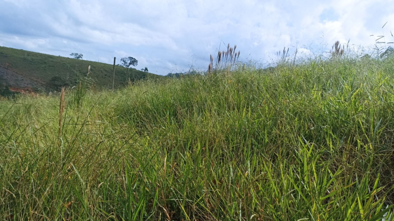 Imagem Chácara com 4 Quartos à Venda, 500 m² em Centro - Paraibuna Imagem Chácara com 4 Quartos à Venda, 500 m² em Centro - Paraibuna