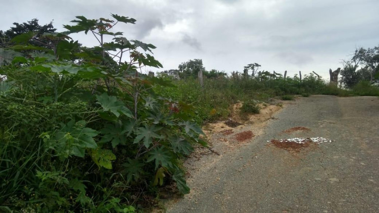 Imagem Terreno à Venda, 413 m² em Belvedere - Ribeirão Das Neves Imagem Terreno à Venda, 413 m² em Belvedere - Ribeirão Das Neves