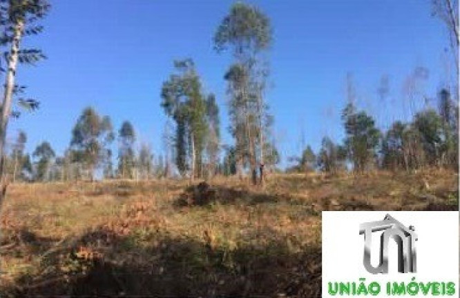 Imagem Terreno à Venda, 2.501 m² em Bairro Agudos - Bragança Paulista