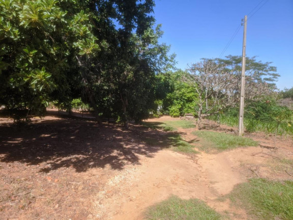 Imagem Chácara com 2 Quartos à Venda, 3.870 m² em área Rural De Lins - Lins Imagem Chácara com 2 Quartos à Venda, 3.870 m² em área Rural De Lins - Lins