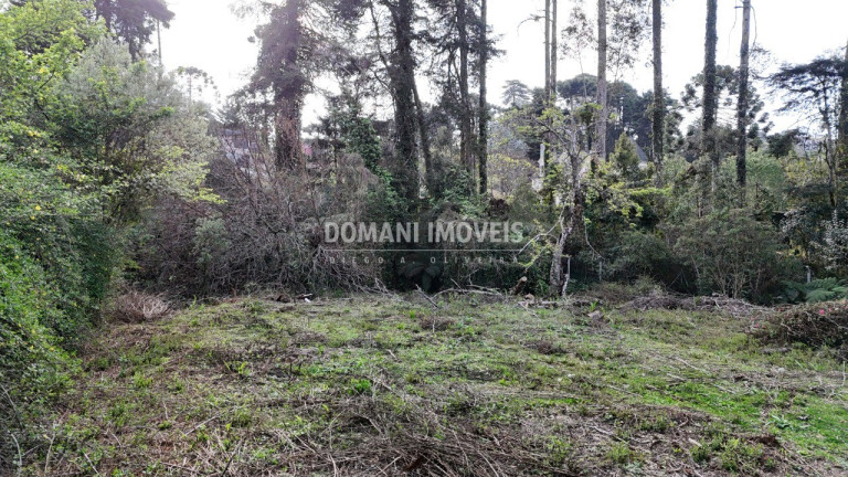 Imagem Terreno à Venda, 1.200 m² em Região De Capivari - Campos Do Jordão Imagem Terreno à Venda, 1.200 m² em Região De Capivari - Campos Do Jordão